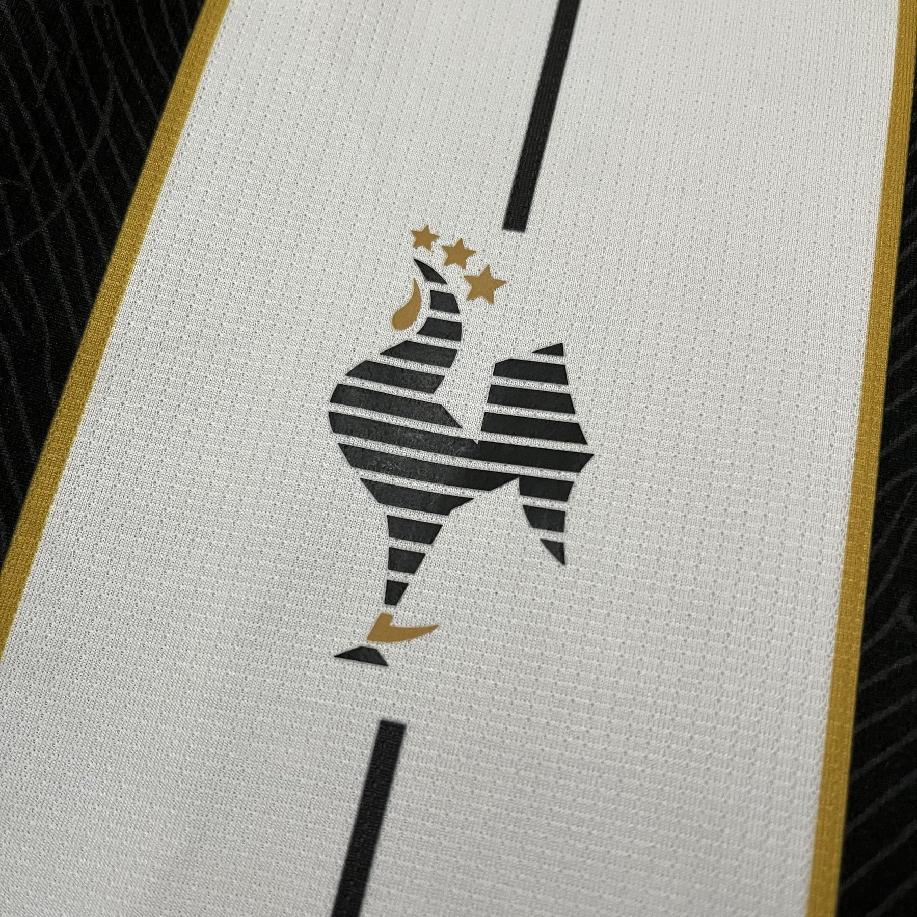 Camisa Atlético Mineiro 24/25 Manto da Massa
