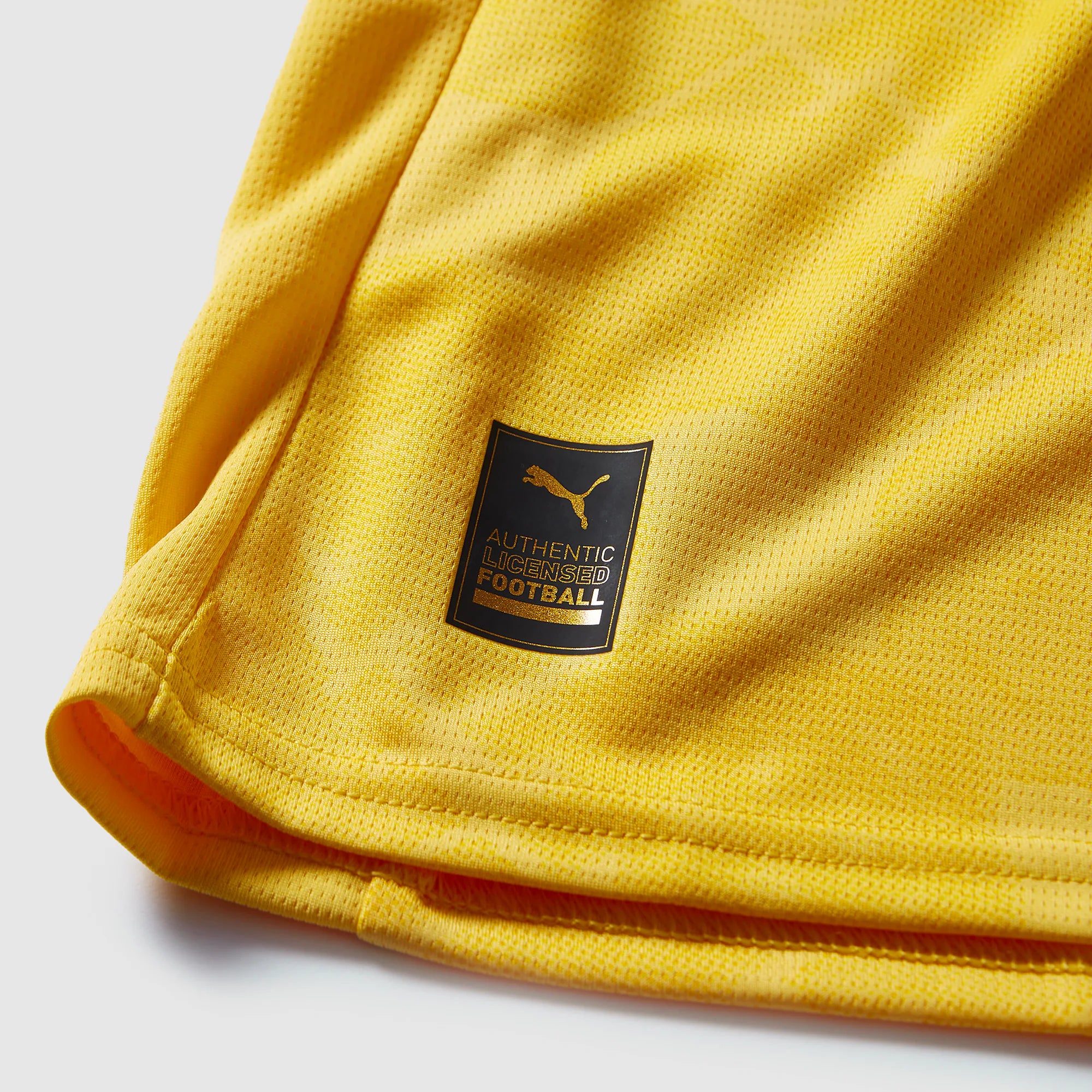 Camisa Puma Milan 25/26 Third