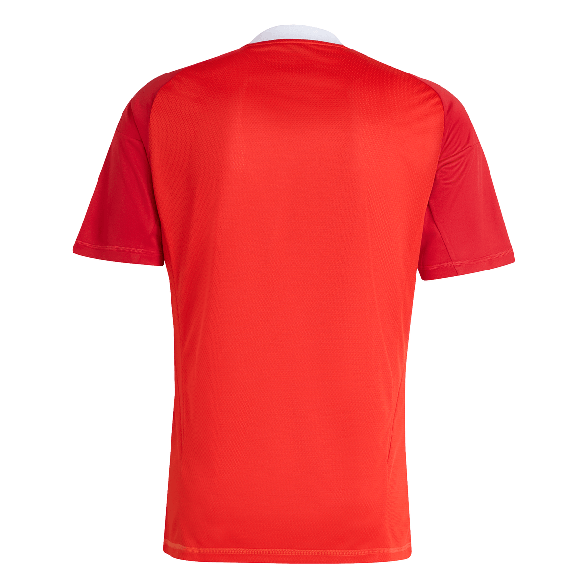 Camisa Adidas Flamengo 25/26 Third Goleiro Campeão Libertadores 2025, Camisa Futebol, Adidas, Uma camisa comemorativa do Mengão que mantém os torcedores confortáveis. Com 130 anos de futebol brilhante na esteira do CR Flamengo, esta elegante terceira camisa da adidas homenageia as origens do clube na remo. Ele faz uma declaração com um distintivo vintage, detalhes em ouro e argolas sutis criadas a partir de um relevo inspirado no movimento de remada. AEROREADY garante que a umidade excessiva é coisa do pass