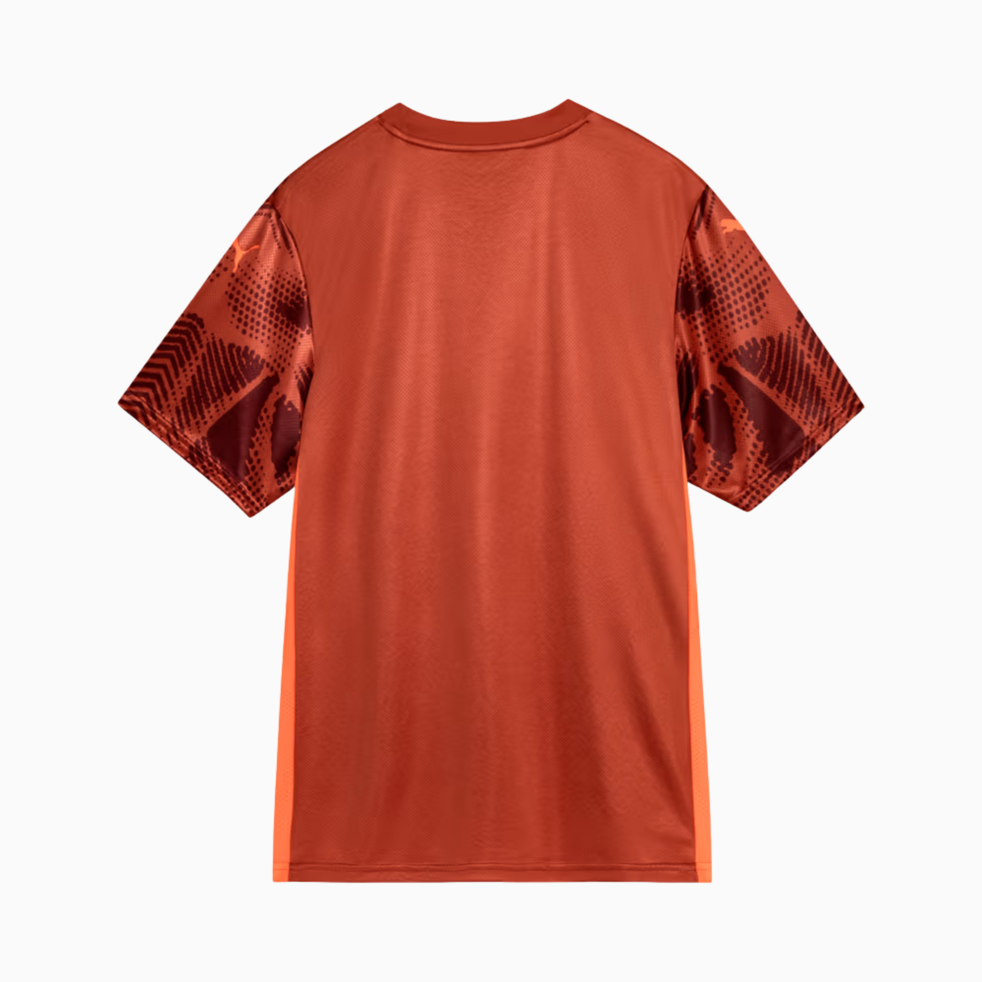Camisa Goleiro Palmeiras 2025/26 II – Torcedor, Camisas de Futebol, PIQUE DE JOGADOR, A Camisa de Goleiro Palmeiras 2025/26 II – Torcedor traz um visual imponente para quem representa a defesa alviverde com orgulho. Com grafismos modernos e design exclusivo, o modelo transmite a força do clube em cada detalhe. Ideal para o dia a dia ou para colecionadores que valorizam autenticidade e estilo, é a versão pensada para os fãs fora das quatro linhas. Características e Benefícios Tecnologia dryCELL: absorve a um