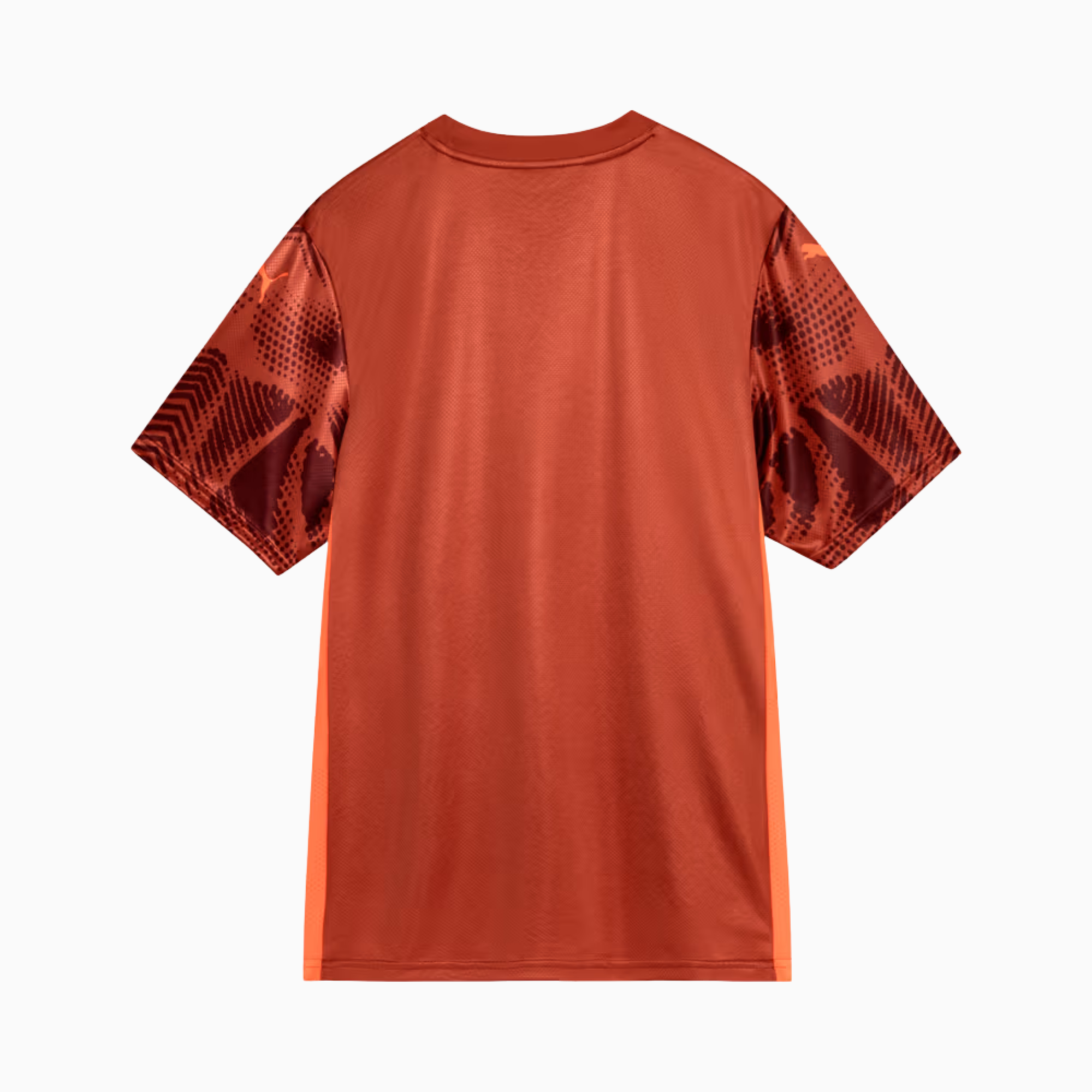 Camisa Goleiro Palmeiras 2025/26 II – Torcedor, Camisas de Futebol, PIQUE DE JOGADOR, A Camisa de Goleiro Palmeiras 2025/26 II – Torcedor traz um visual imponente para quem representa a defesa alviverde com orgulho. Com grafismos modernos e design exclusivo, o modelo transmite a força do clube em cada detalhe. Ideal para o dia a dia ou para colecionadores que valorizam autenticidade e estilo, é a versão pensada para os fãs fora das quatro linhas. Características e Benefícios Tecnologia dryCELL: absorve a um