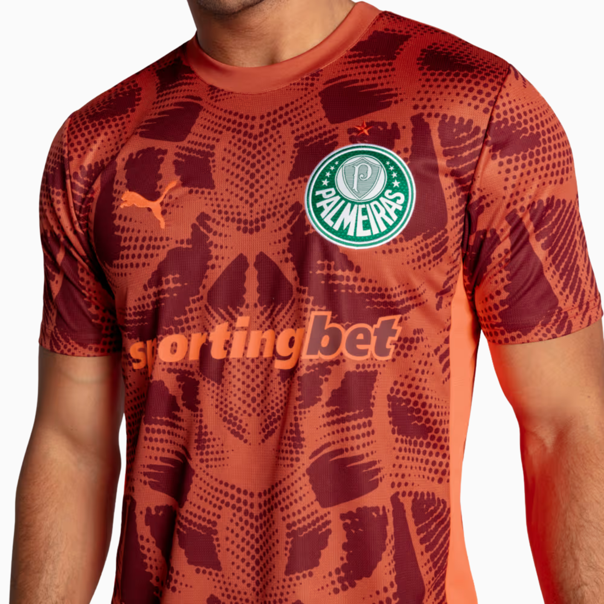 Camisa Goleiro Palmeiras 2025/26 II – Torcedor, Camisas de Futebol, PIQUE DE JOGADOR, A Camisa de Goleiro Palmeiras 2025/26 II – Torcedor traz um visual imponente para quem representa a defesa alviverde com orgulho. Com grafismos modernos e design exclusivo, o modelo transmite a força do clube em cada detalhe. Ideal para o dia a dia ou para colecionadores que valorizam autenticidade e estilo, é a versão pensada para os fãs fora das quatro linhas. Características e Benefícios Tecnologia dryCELL: absorve a um