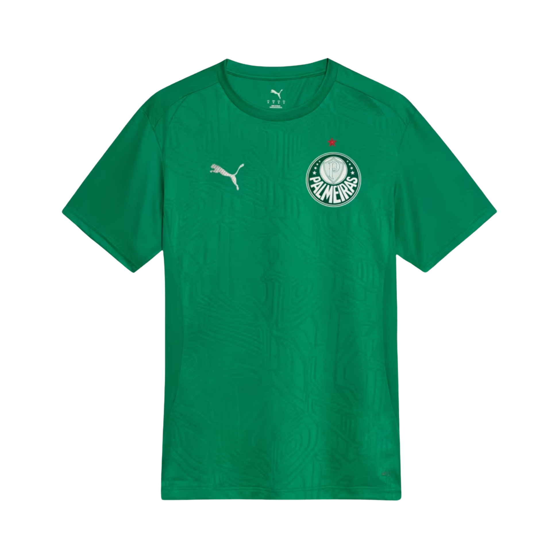 Camisa Palmeiras 2025 – Treino, Camisas de Futebol, PIQUE DE JOGADOR, A Camisa Palmeiras 2025 – Treino representa a rotina e a disciplina dos atletas palestrinos. Feita com tecido leve e respirável, é ideal para treinos intensos ou para quem busca vestir a identidade do Verdão fora de campo. Com modelagem slim, recortes estratégicos e tecnologia dryCELL, combina performance, conforto e estilo com o escudo do Palmeiras no peito. Características e Benefícios Tecnologia dryCELL: absorve a umidade e mantém o co