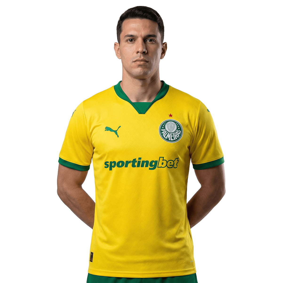 Camisa Puma Palmeiras 25/26 Third, Camisa Futebol, Puma, Ficha do Produto Reviva uma glória histórica com a Camisa Palmeiras III 25/26 s/n Torcedor Puma! Celebrando um dos momentos mais icônicos da história alviverde, esta camisa do Palmeiras é inspirada na Seleção Brasileira, representada pelo Verdão em 1965, quando o time venceu o Uruguai por 3 a 0 na estreia do Mineirão. Confeccionada em poliéster com tecnologia DryCell, o artigo garante o conforto que você merece, seja nas tribunas ou no dia a dia. Com 