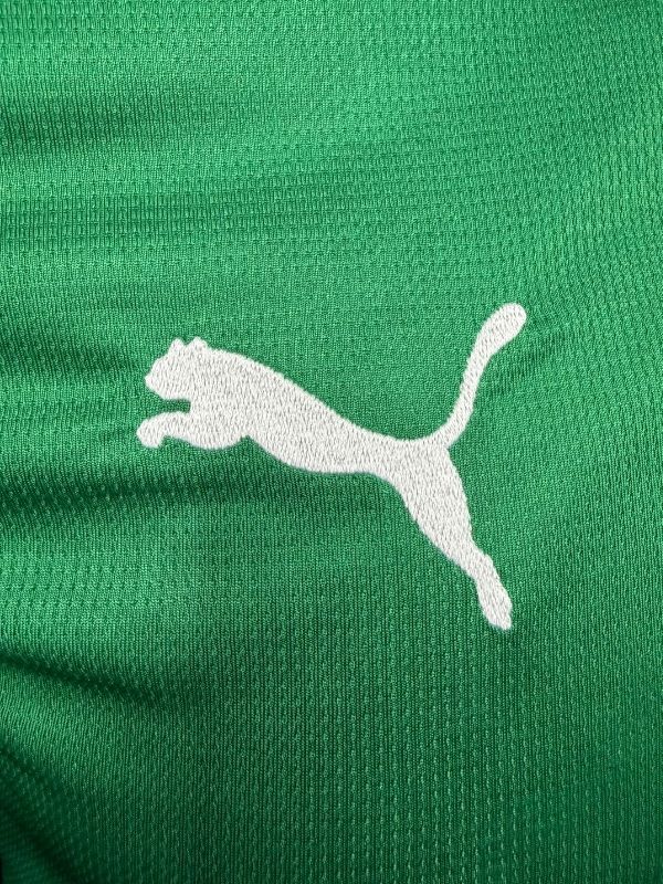 Camisa Puma Palmeiras 26/27 Home, Camisas de Futebol, PIQUE DE JOGADOR, O novo uniforme resgata a origem do clube mais vitorioso, construindo uma ponte entre o passado e o presente partindo da estética do Velho Continente para o clima de esperança encontrado pelos imigrantes que desembarcaram no Brasil. Com detalhes em homenagem aos ítalo-brasileiros que fundaram o clube em 1914. DETALHES Regular fit Gola careca recortada em cor contrastante com listras na frente Manga curta Recortes laterais com arte subli