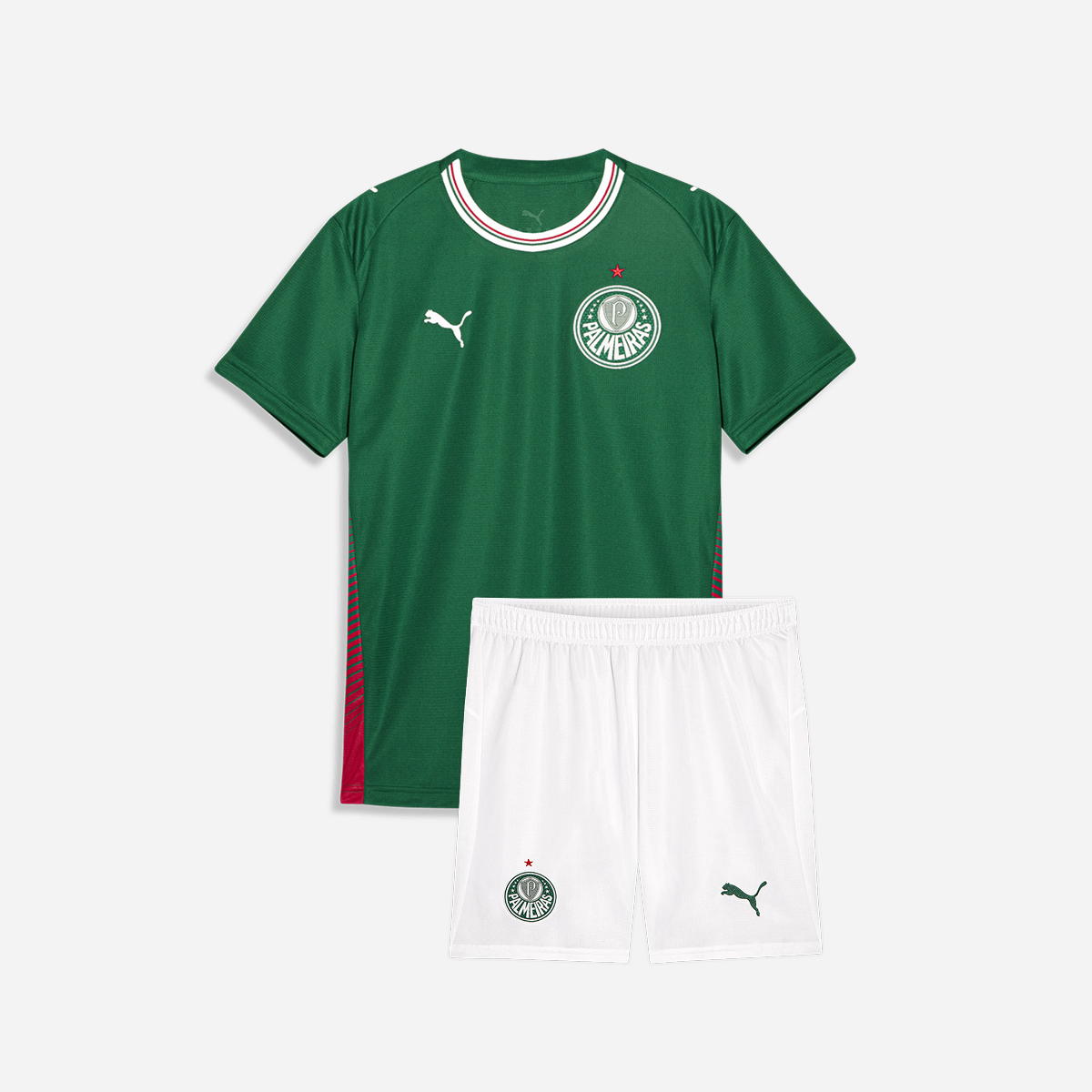 Conjunto Infantil Puma Palmeiras 2026/27 I, Camisas de Futebol, PIQUE DE JOGADOR, O Conjunto Infantil Palmeiras II 2025/26 da Puma é ideal para os pequenos demonstrarem o amor pelo Verdão com estilo e autenticidade. Com design moderno em branco e detalhes em verde, o uniforme oficial traz conforto, leveza e personalidade para o dia a dia e os dias de jogo. Características e Benefícios Tecnologia dryCELL, que afasta o suor da pele e mantém a criança seca e confortável Conjunto leve e respirável, ideal para m