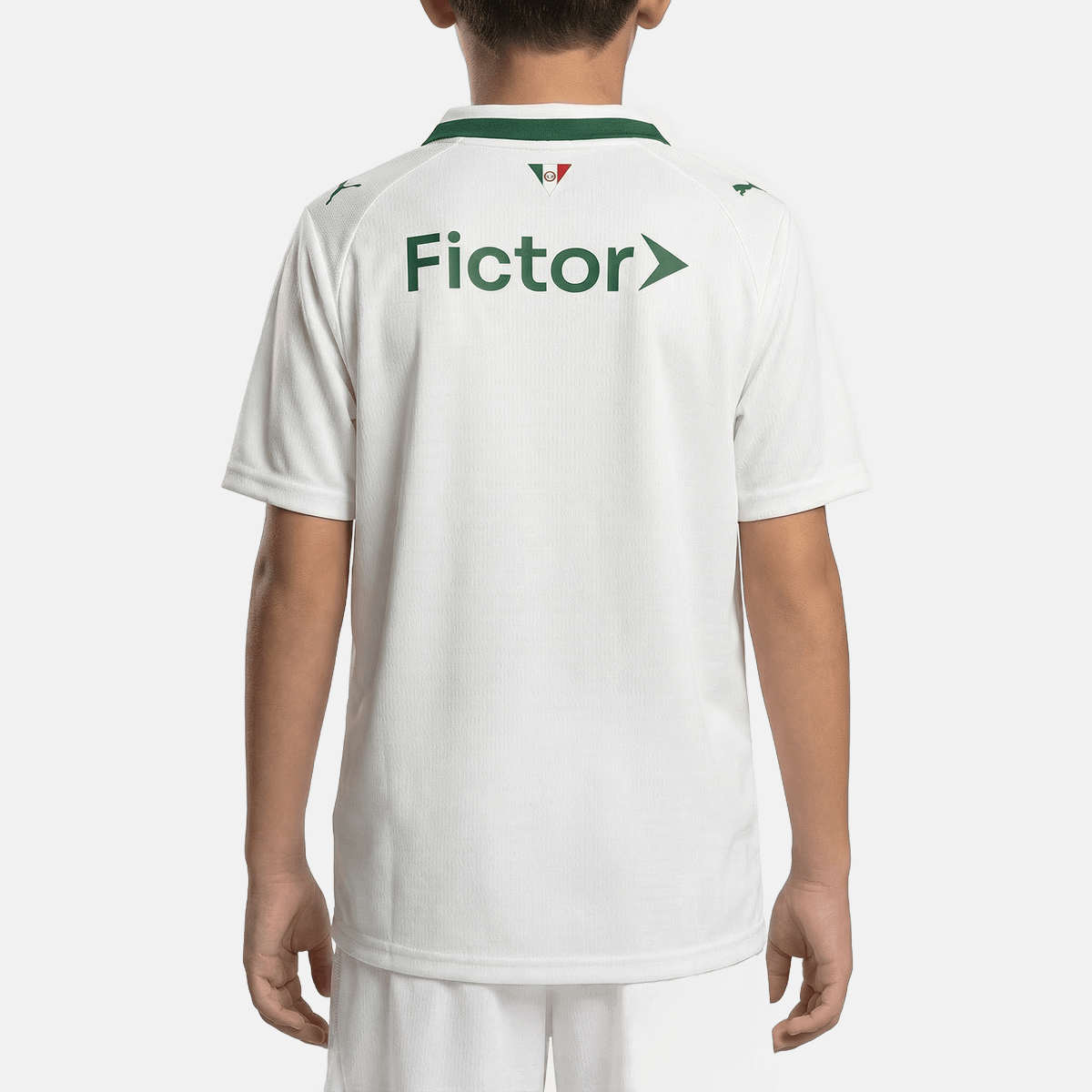 Conjunto Infantil Puma Palmeiras 2026/27 II, Camisas de Futebol, PIQUE DE JOGADOR, O Conjunto Infantil Palmeiras II 2025/26 da Puma é ideal para os pequenos demonstrarem o amor pelo Verdão com estilo e autenticidade. Com design moderno em branco e detalhes em verde, o uniforme oficial traz conforto, leveza e personalidade para o dia a dia e os dias de jogo. Características e Benefícios Tecnologia dryCELL, que afasta o suor da pele e mantém a criança seca e confortável Conjunto leve e respirável, ideal para 