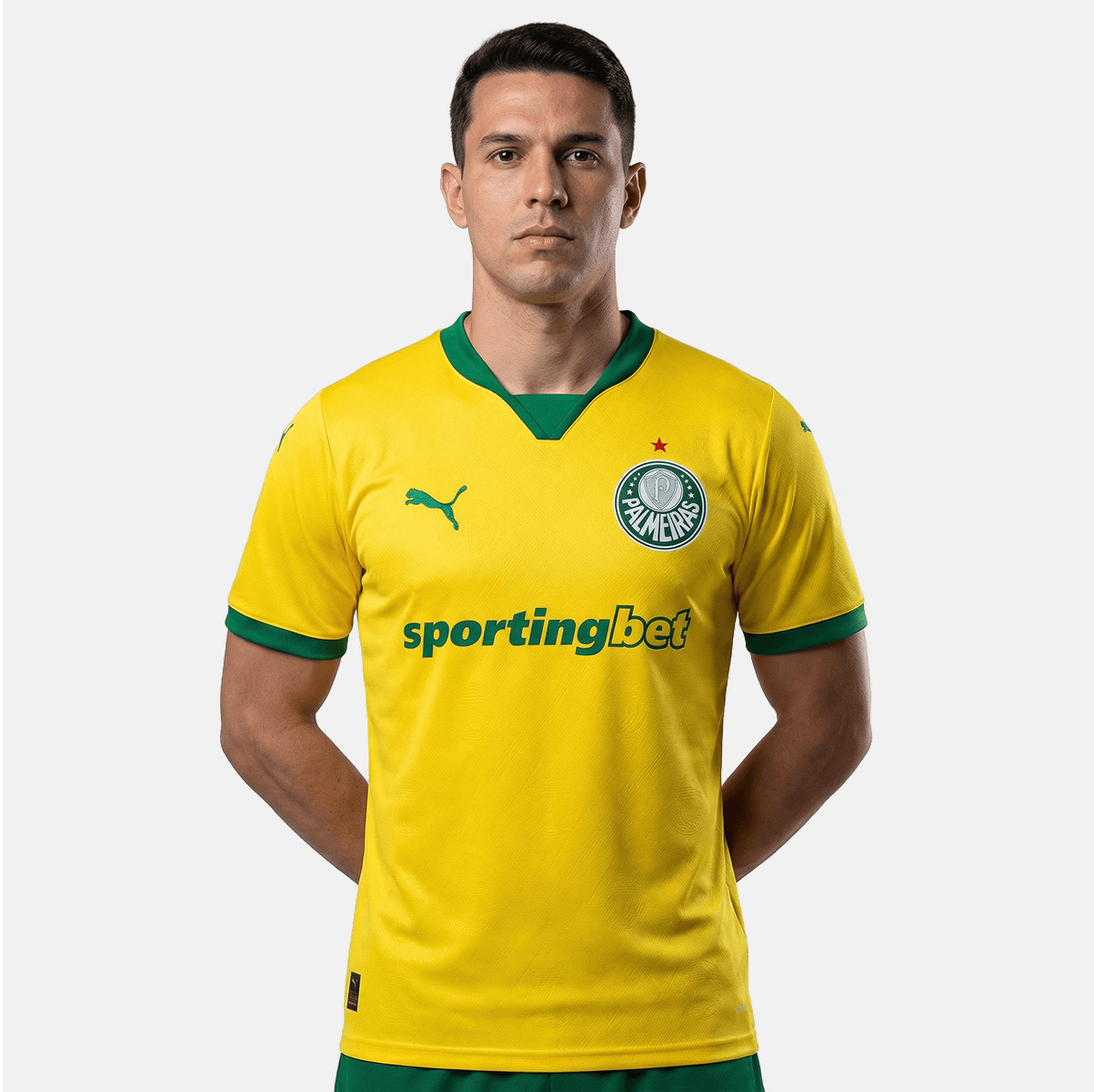 Camisa Puma Palmeiras 25/26 Third