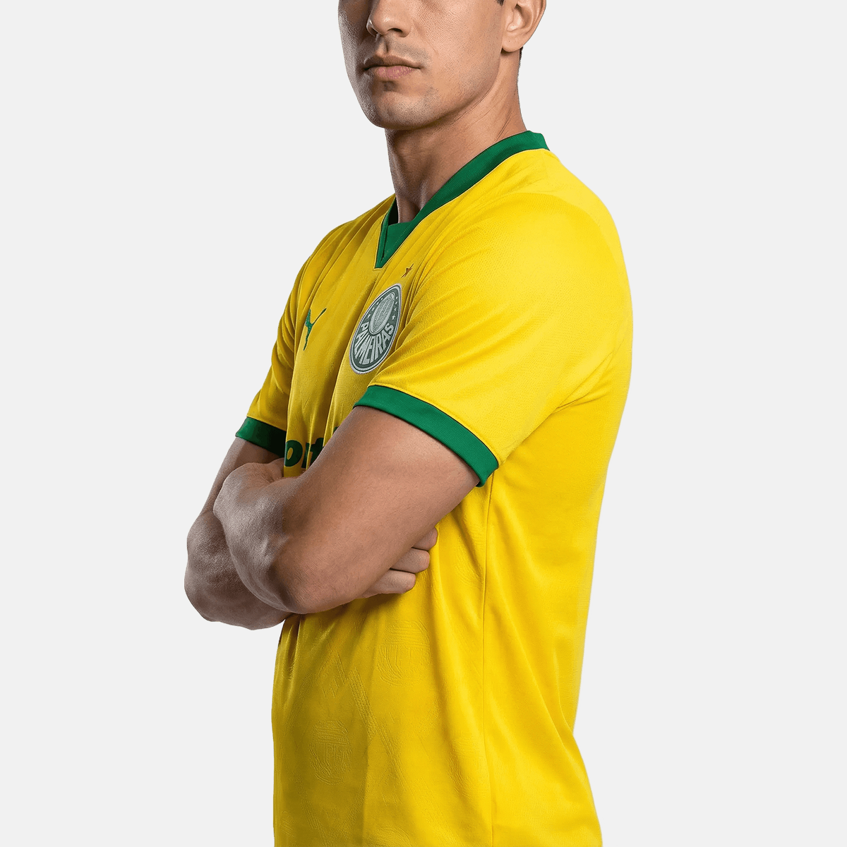 Camisa Puma Palmeiras 25/26 Third