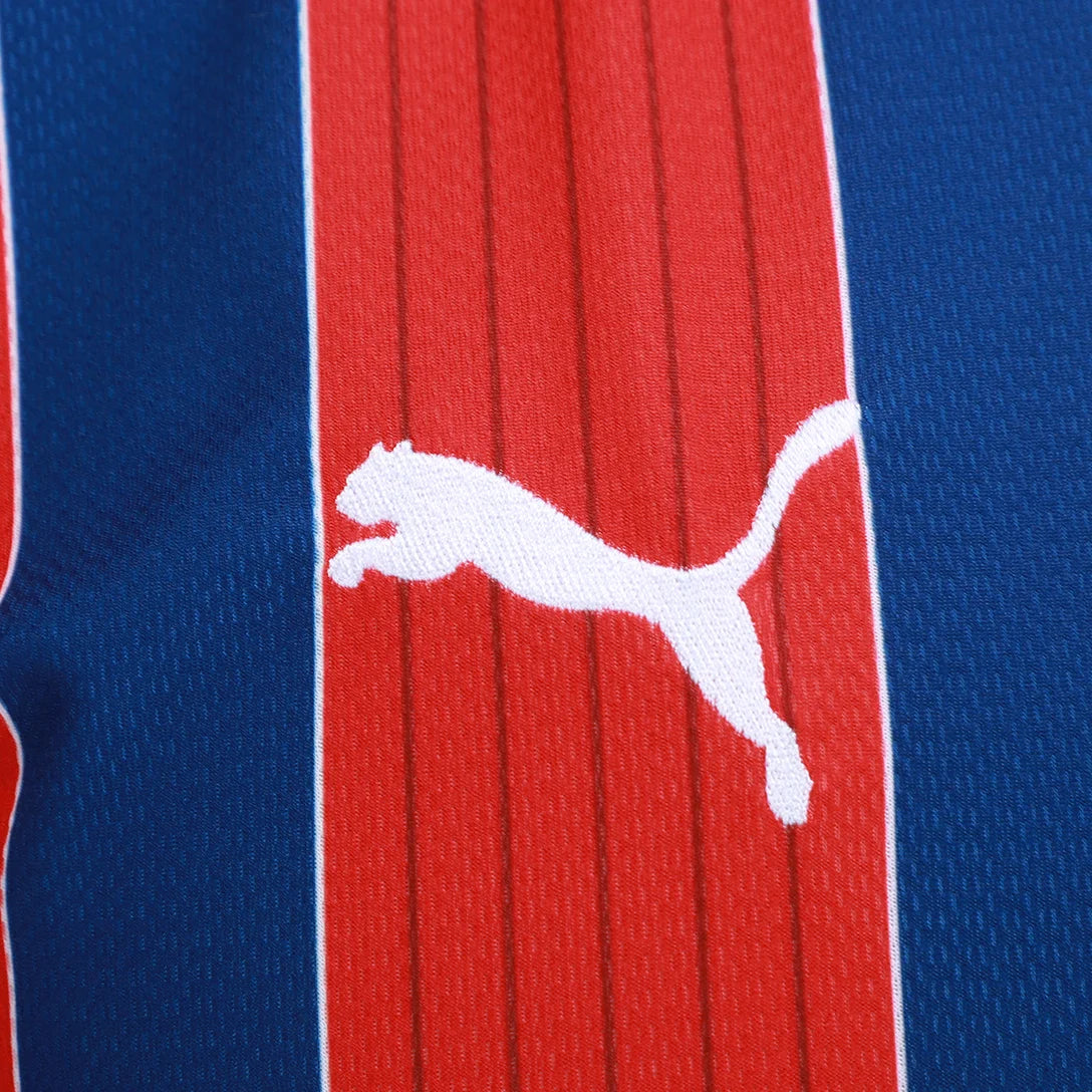 Camisa Puma Bahia 25/26 Away