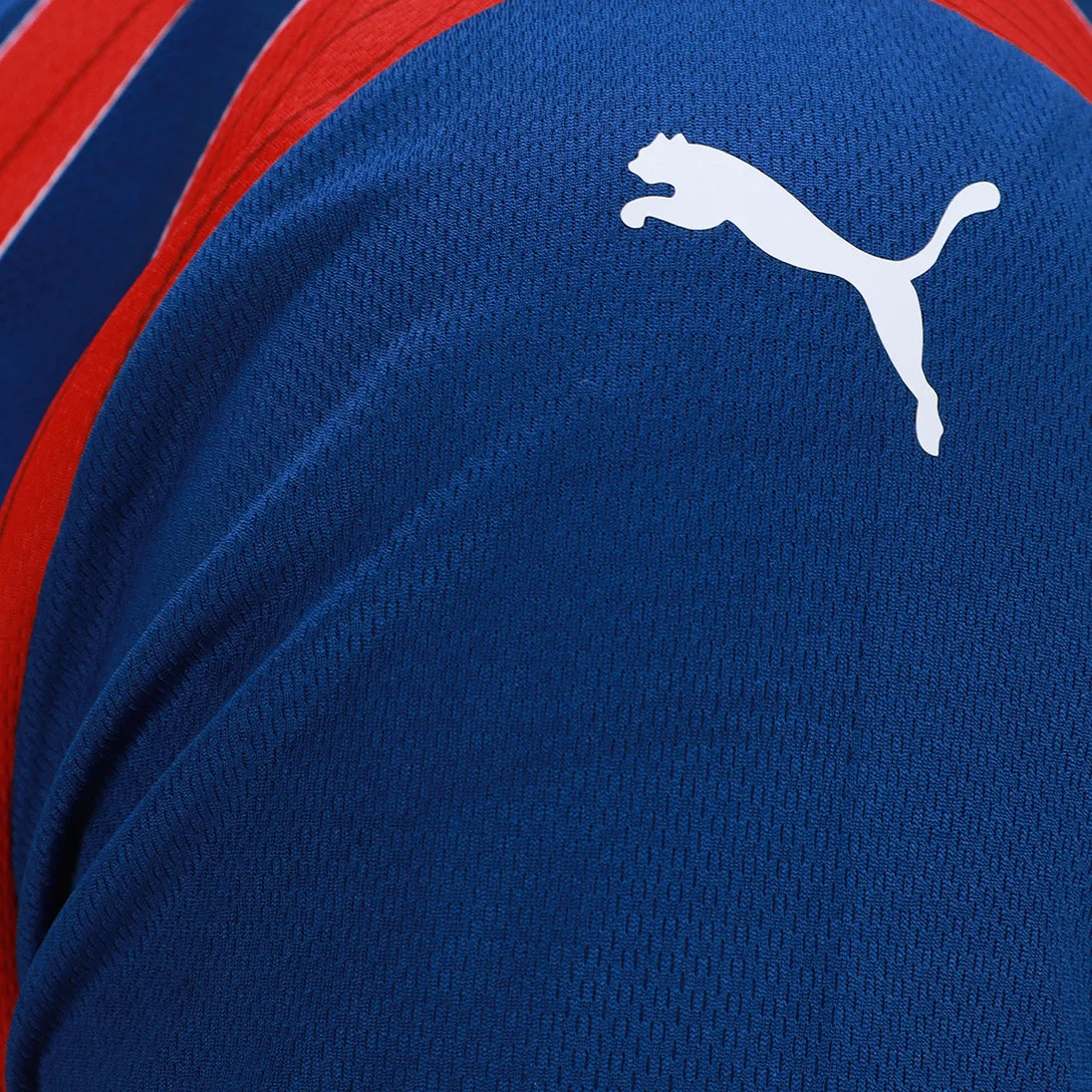 Camisa Puma Bahia 25/26 Away