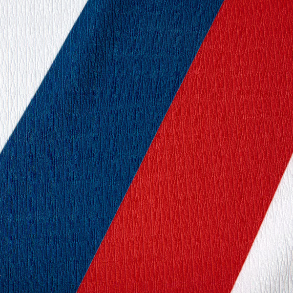 Camisa Puma Bahia 26/27 Home Jogador