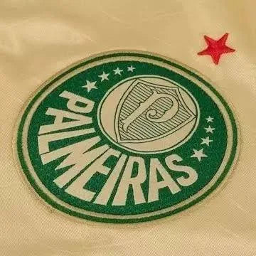 Camisa Puma Palmeiras 24/25 Third