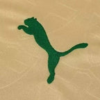 Camisa Puma Palmeiras 24/25 Third